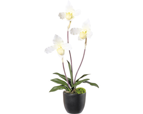 Plante artificielle orchidée hauteur : 45 cm crème