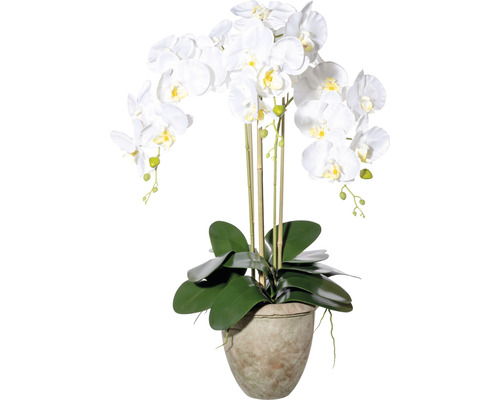 Plante artificielle orchidée hauteur : 75 cm blanc