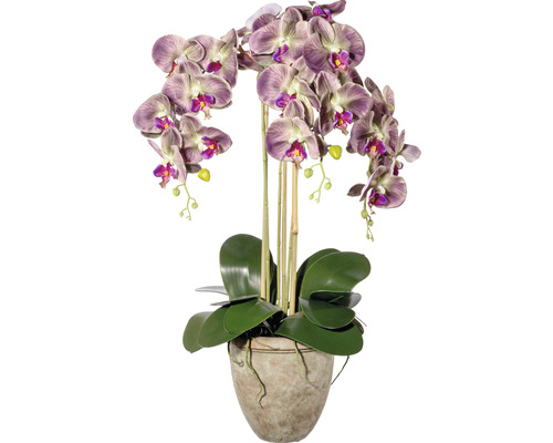 Plante artificielle orchidée hauteur : 75 cm vert