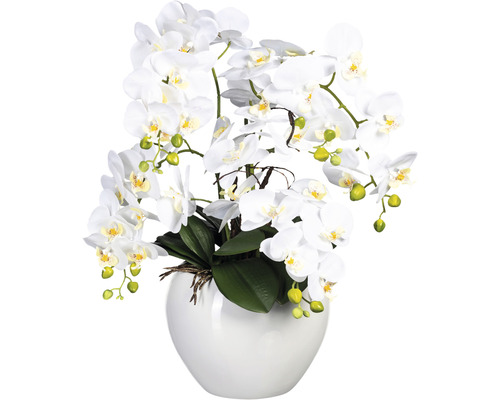 Plante artificielle Phalaenopsis hauteur : 56 cm blanc
