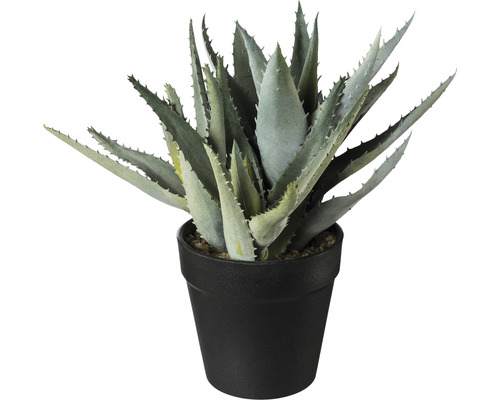 Plante artificielle Aloe dans un pot hauteur : 23 cm vert