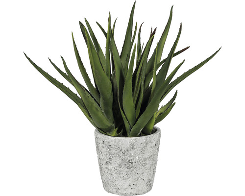 Kunstpflanze Aloe Höhe: 44 cm grün