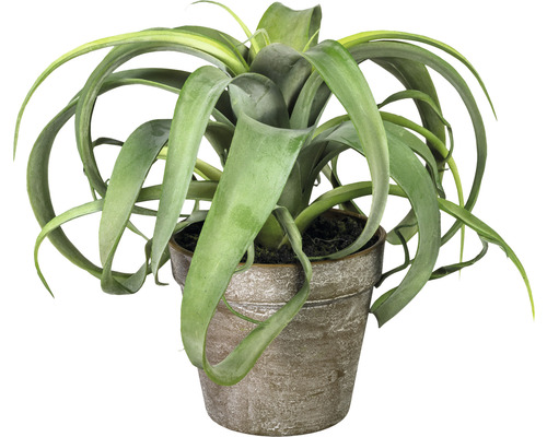 Plante artificielle Tillandsia hauteur : 24 cm vert