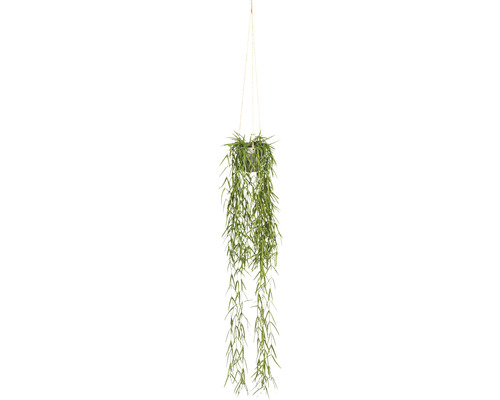 Plante artificielle Tillandsia hauteur : 90 cm vert
