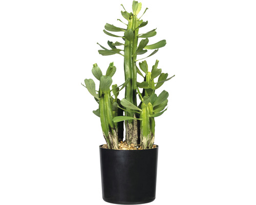 Plante artificielle Euphorbe hauteur : 40 cm vert