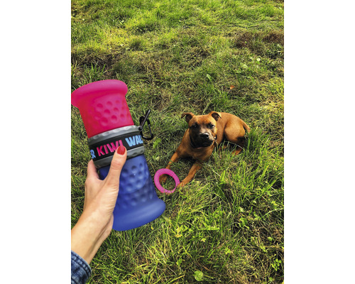 Gourde portable pour chiens en utilisation avec jouet pour chien dans l''herbe