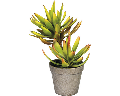 Plante artificielle Aloe Plicatilis hauteur : 30 cm vert