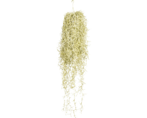 Plante artificielle Tillandsia hauteur : 80 cm vert