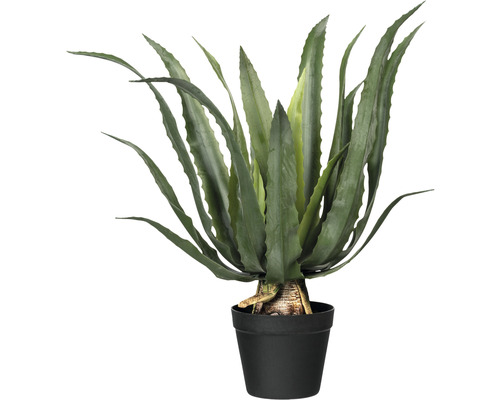 Plante artificielle Lafiora grande plante B 60 cm - HORNBACH