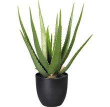 Aloe Vera Kunstpflanze im Topf