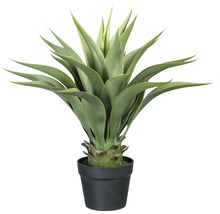 Agave artificielle dans un pot noir