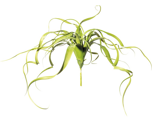 Plante artificielle Tillandsia retombant hauteur : 32 cm vert