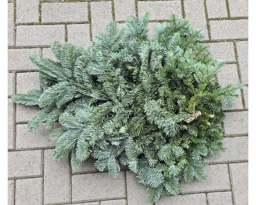 Koniferenzweig auf Pflastersteinen