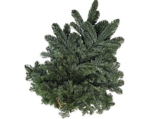 bougie sapin de Noël 16cm verte - HEMA