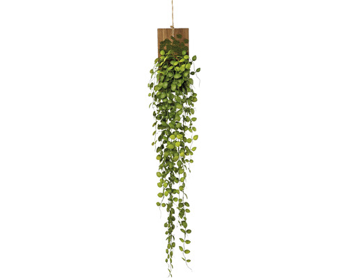 Plante artificielle vrille de Mühlenbeckia hauteur : 123 cm vert