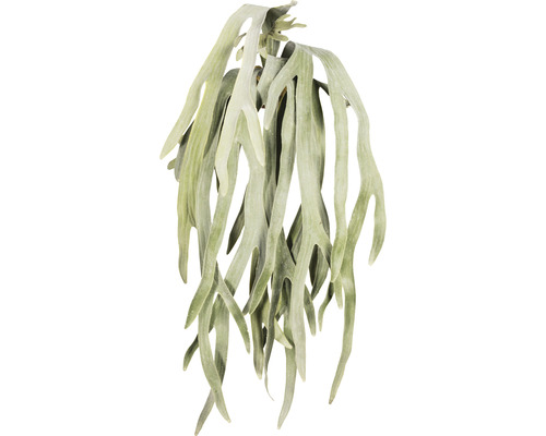 Plante artificielle Platycerium retombant hauteur : 80 cm vert