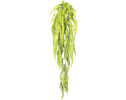 Kunstpflanze Adianthumhänger Höhe: 80 cm grün