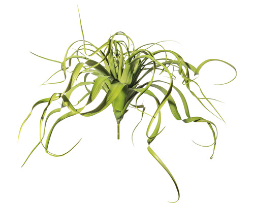 Plante artificielle Tillandsia retombant hauteur : 70 cm vert