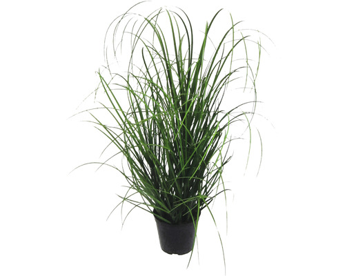 Plante artificielle touffe d'herbes hauteur : 60 cm vert