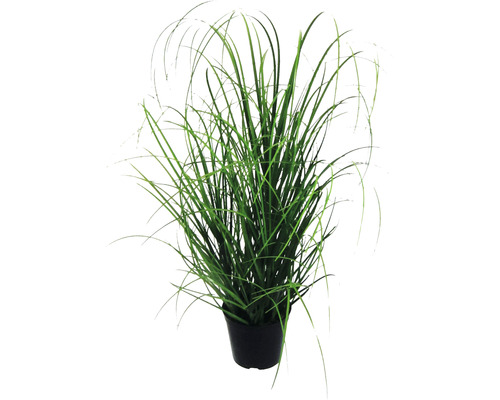 Plante artificielle touffe d'herbes hauteur : 75 cm vert