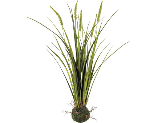 Plante artificielle Miscanthus hauteur : 63 cm vert