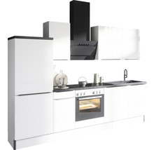 Komplette Küchenzeile mit Kühlschrank, Spüle, Dunstabzugshaube und Elektroherd