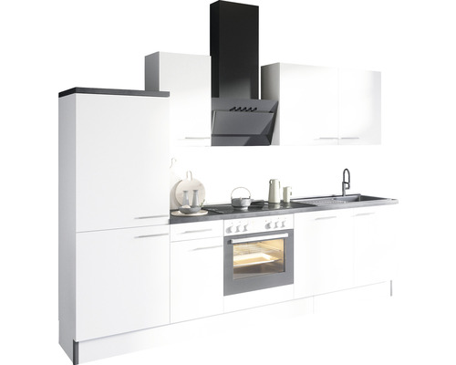 Küchenzeile mit Spüle, Herd, Backofen, Dunstabzugshaube und Schränken