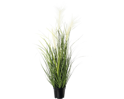 Plante artificielle herbe de la pampa hauteur : 76 cm crème