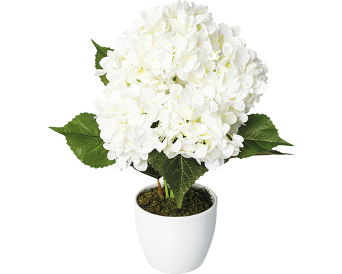 Plante artificielle hortensia sur tronc hauteur: 63 cm blanc