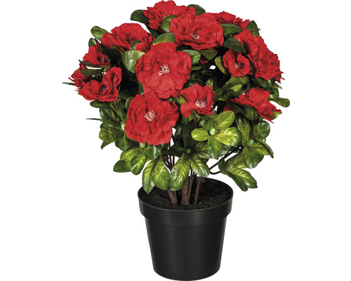 Plante artificielle azalée hauteur : 32 cm rouge