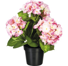 Künstliche Hortensie im Topf als Dekoration