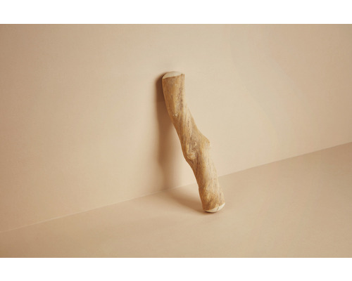 Branche décorative en bois