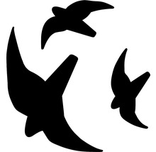 Autocollant silhouettes d'oiseaux 3 pièces, autoadhésif, taille env. 1 x 36 22 cm + 2 x 20 x 12 cm-thumb-3
