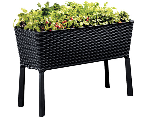 Hochbeet mit Pflanzen im schwarzen Korbgeflecht