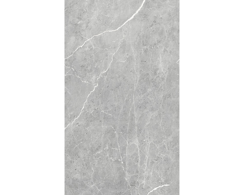 Carrelage gris aspect marbre