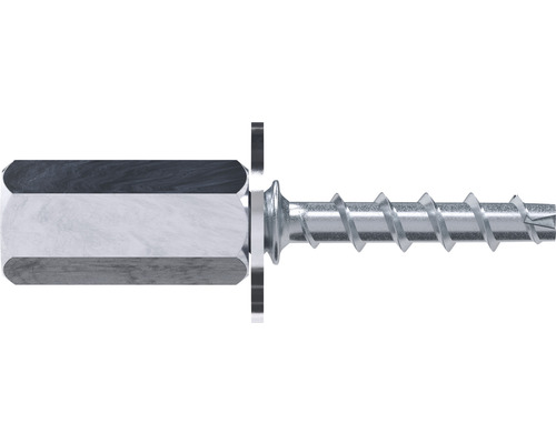 Schraube mit Sechskantkopf