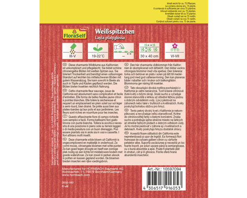 Emballage de graines de Layia platyglossa