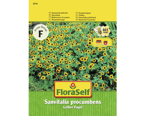 Sanvitalia FloraSelf semences non-hybrides graines de fleurs