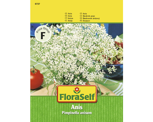 Anis FloraSelf semences non-hybrides semences de fines herbes