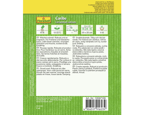 FloraSelf Caribe Paquet de graines de coriandre
