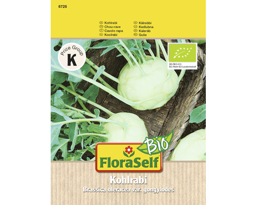 Chou-rave bio FloraSelf Bio semences non-hybrides semences de légumes