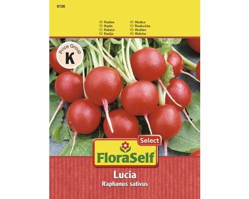 Radis 'Lucia' FloraSelf semences de légumes hybrides F1
