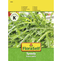 FloraSelf Speedy Rucola Samen