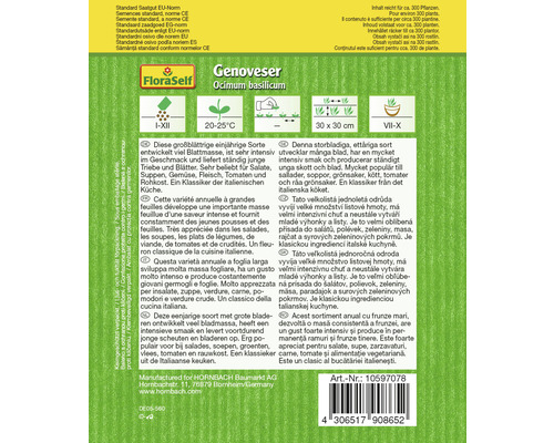 Paquet de graines de basilic génois pour la culture de plants de basilic