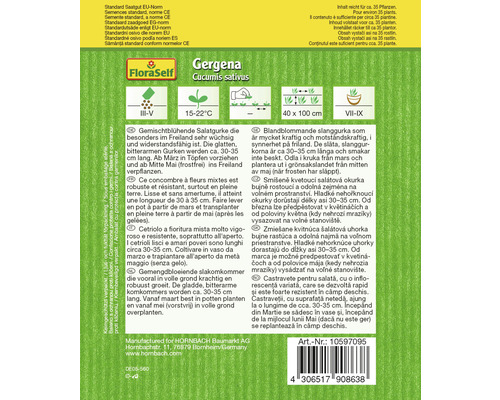 Sachet de graines de concombres de type Gergena