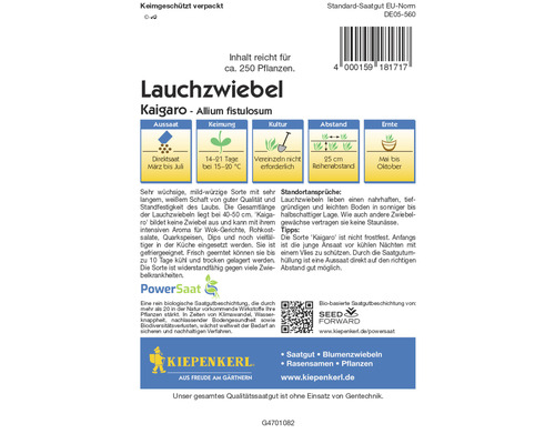 Samenpackung Lauchzwiebel Kaigaro Allium fistulosum