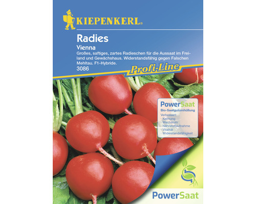 Radis Vienna Kiepenkerl PowerSaat graines de légumes hybrides