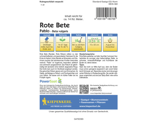 Rote Bete Samen der Sorte Pablo für den Anbau von Roter Bete