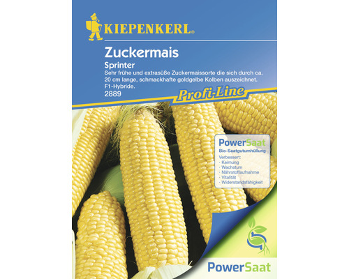 Zuckermais Sprinter Kiepenkerl PowerSaat Hybrid-Saatgut Gemüsesamen
