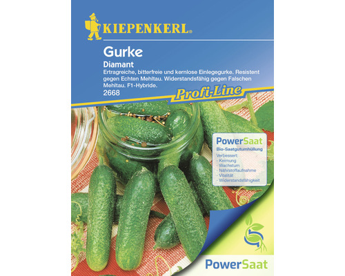 Concombre Diamant Kiepenkerl PowerSaat graines de légumes hybrides